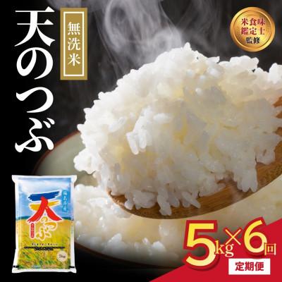 ふるさと納税 田村市 【毎月定期便】無洗米 田村産 天のつぶ 5kg 米 精米全6回