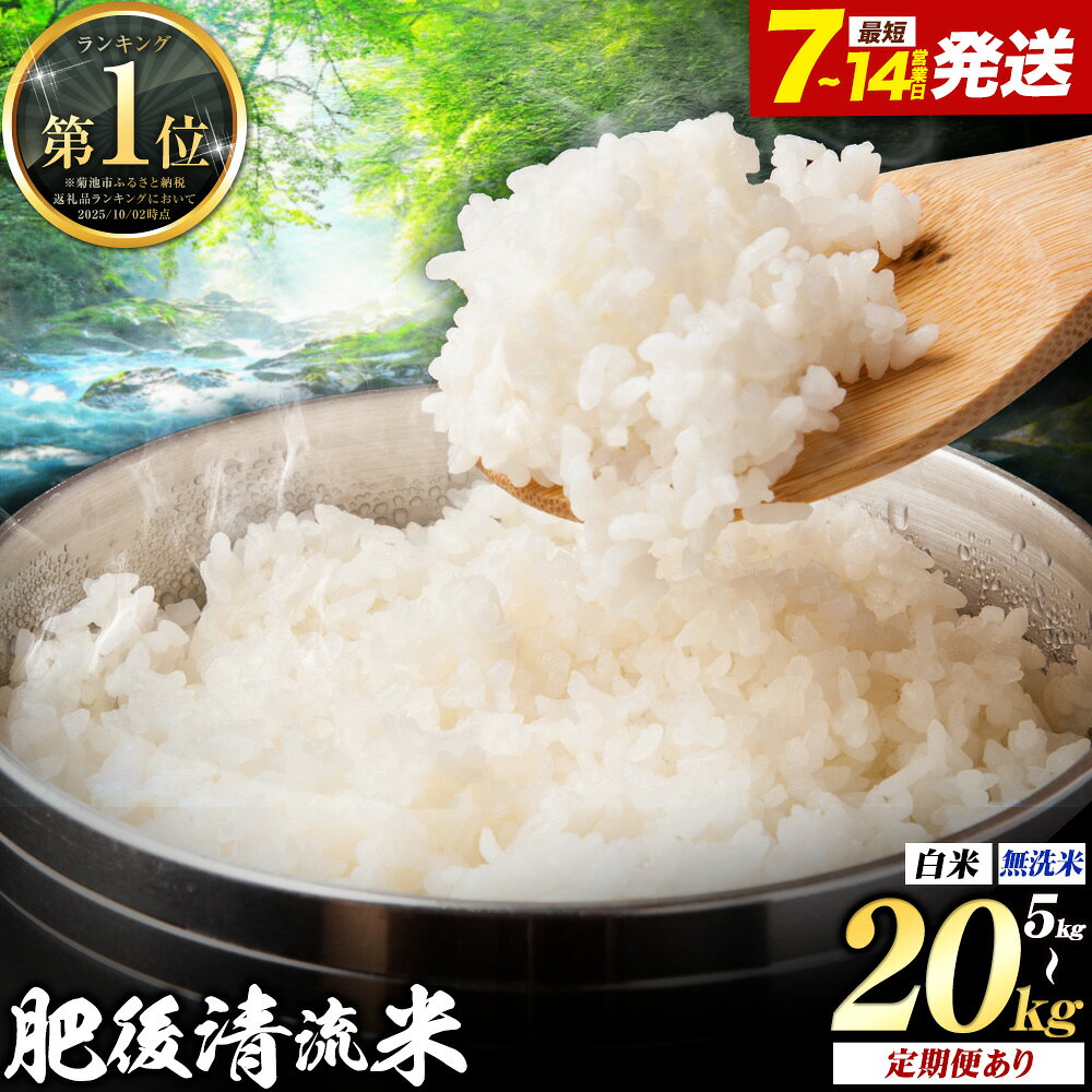 【ふるさと納税】米 選べる 定期便 肥後清流米 無洗米 白米 米 2kg 5kg 10kg 20kg ランキング 定期便あり 12ヶ月 隔月6ヶ月《出荷時期をお選びください》熊本県 菊池市 国産 熊本県産 白米 精米 無洗米 送料無料 こめ お米 ごはん 生活応援 ブレンド米 楽天スーパーセール