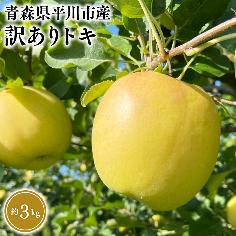 ≪2026年9月中旬頃より発送≫青森県産 訳あり トキ 約3kg【青森県 平川市 なるみ農園】家庭用 訳アリ 青森 青森県産 平川 りんご リンゴ 林檎 くだもの 果物 フルーツ