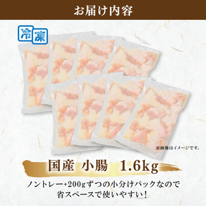 国産 小腸 ホルモン 1.6kg 牛肉 冷凍 真空 小分け 200g×8 パック牛 焼肉 もつ鍋 バーベキュー 鉄板焼き BBQ おかず おつまみ 贈答 お祝い お歳暮 お中元 大阪府 松原市