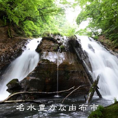 ふるさと納税 由布市 【毎月定期便】【ゆふの蔵元直送】湯布院をご自宅に。地産麦焼酎 3本セット全12回 |  | 02