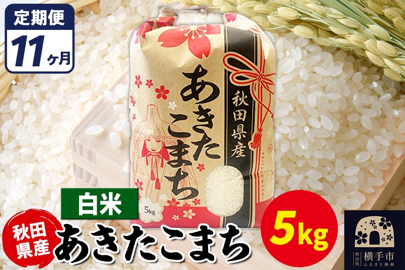 
                  《定期便11ヶ月》あきたこまち 5kg【白米】令和7年産 秋田県産 こまちライン [こまちライン あきたこまち ブランド米 お米 白米 精米 米どころ 秋田 秋田県産]
                