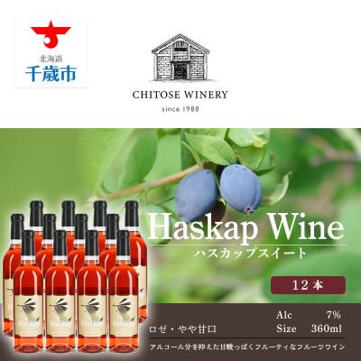 ふるさと納税 千歳市 千歳ワイナリー ハスカップスイート360ml×12本