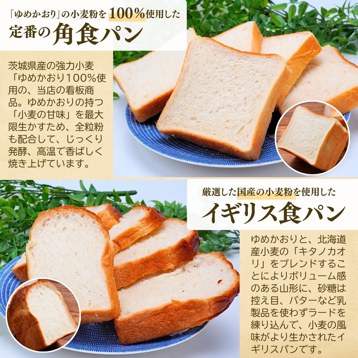 【定期便 3回】国産小麦粉を使用したこだわりの食パン 食べ比べ4種セット | 食パン 全粒粉パン 全粒粉30% 国産小麦100% 全粒粉 小麦 国産小麦 玄米 玄米パン 国産 国内産 ゆめかおり 個包