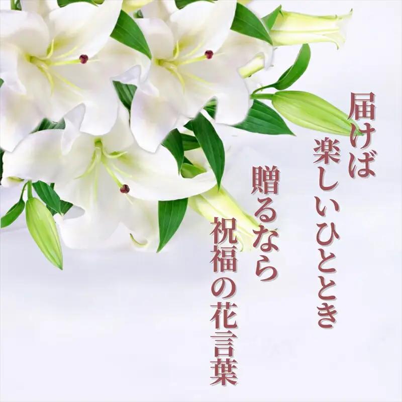 【百合の王様】【未開花/長持ち】農林水産大臣賞を受賞したフローリストがアレンジする“純白のカサブランカ”【 花 お花 神奈川県 小田原市 お花】