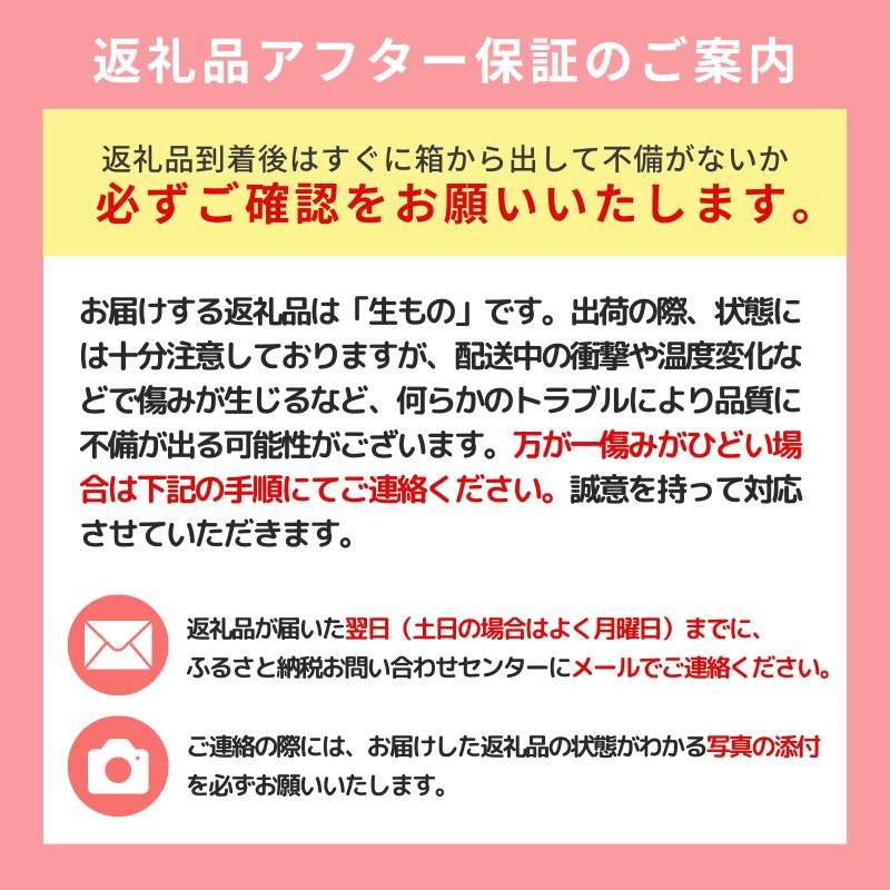 【数量・期間限定】幻の梨 「かほり梨」 5kg ［2026年10月上旬から出荷予定］ 秋田県 能代市 香り 梨 大玉 フルーツ 果物 幻 貴重 希少