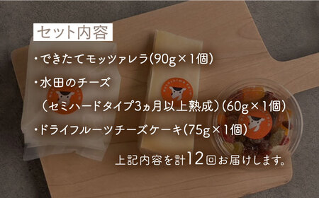 【12回定期便】ナカシマファームの人気チーズ３種セット【ナカシマファーム】[NAJ112]チーズ ナカシマファーム チーズ 酪農家の手作りチーズ てづくりチーズ 人気チーズ おすすめチーズ  モッツァ