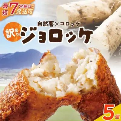 Z19-06 寄附額改定↓↓ じねんじょコロッケ ジョロッケ 5個セット 自然薯 コロッケ