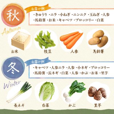 ふるさと納税 宗像市 【定期便/年12回/毎月お届け】旬のお野菜詰合せセット【道の駅むなかた】_HB0124 |  | 02