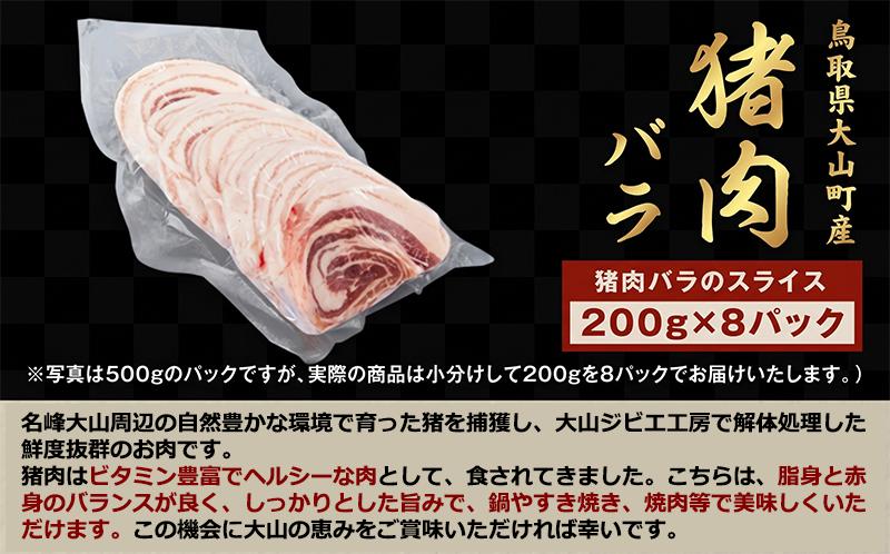 GB-08　猪肉バラ 1.6kg