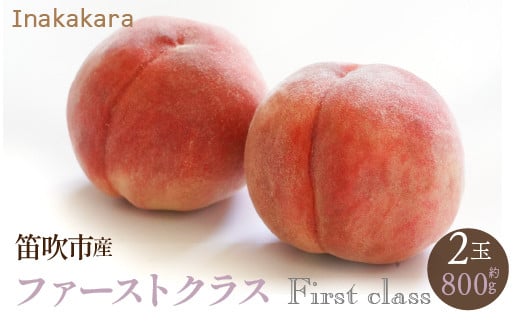 【先行予約】2023年発送　Inakakara　一宮の特選桃の詰め合わせ　約1kg