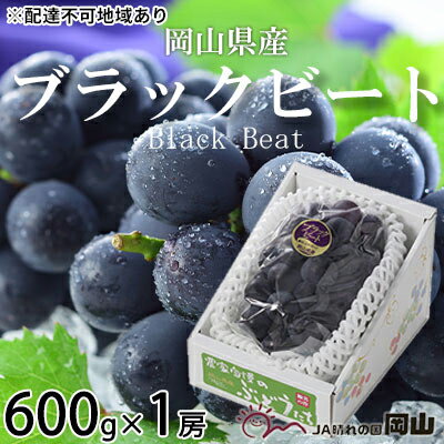 【ふるさと納税】ぶどう 2026年 先行予約 ブラックビート 約600g×1房 ぶどう ブドウ 葡萄 ブラックビート 種なしぶどう 岡山県産 岡山 産地直送 フルーツ 果物 大粒 黒ぶどう 甘い ジューシー 旬 数量限定 冷蔵配送 お届け：2026年8月中旬〜2026年9月上旬