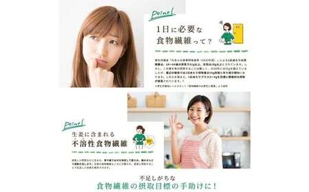 Craft Ginger Fiber （クラフト ジンジャー ファイバー） 25g×2袋 計50g ／ 生姜 しょうが 野菜 ジンジャー 薬味 高知県 香美市 常温