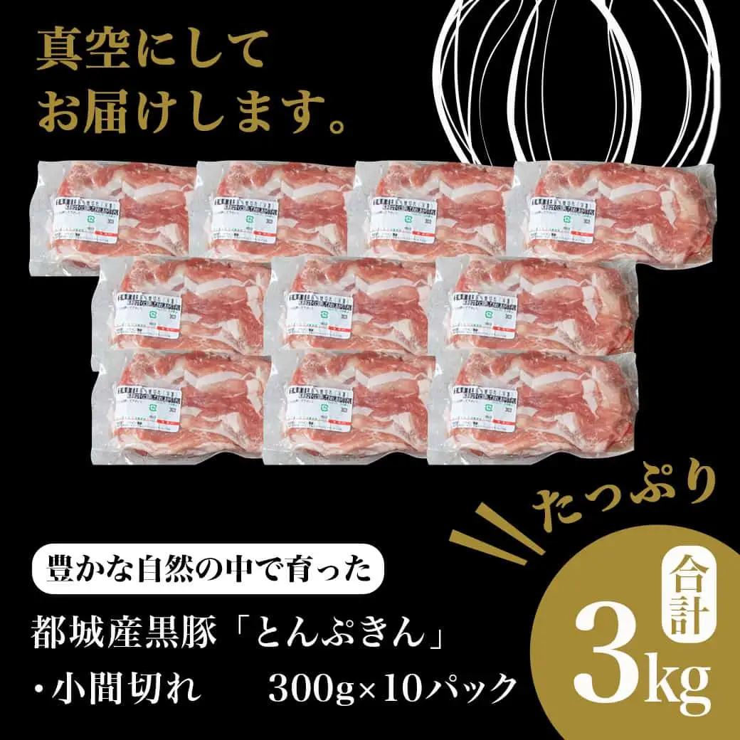 黒豚「とんぷきん」こま切れ3kg〔MJ-5904〕_(都城市) 都城の豊かな自然の中 かぼちゃを与えられて大切に育てられたブランド豚「とんぷきん」の小間切れ 300g×10パック 豚肉 計3,000g