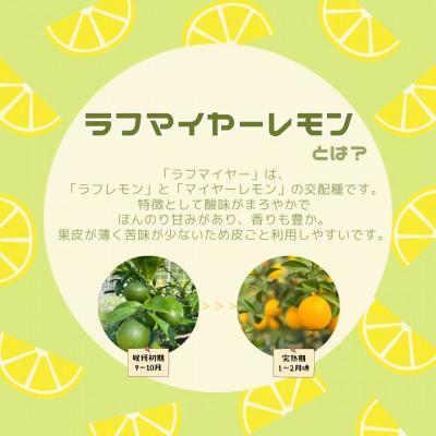 ふるさと納税 上毛町 【26年11月下旬〜27年2月上旬発送】上毛町産ラフマイヤーレモン　2kg(完熟レモン)(上毛町) |  | 01