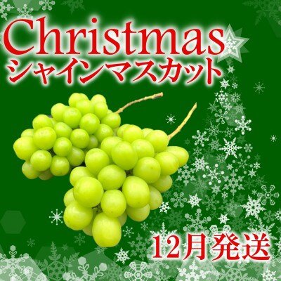 【2026年発送】冬季限定!!山梨県山梨市産　クリスマスシャインマスカット　約1kg　2～3房【配送不可地域：離島・沖縄県】
