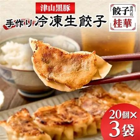 津山黒豚手作り冷凍生餃子(60個セット)【配送不可地域：離島】【1339814】