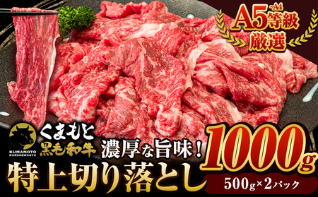 くまもと黒毛和牛 ウデ・モモ 特上 切り落とし 1000g (500g×2パック) 牛肉 冷凍 《30日以内に出荷予定(土日祝除く)》冷凍庫 個別 取分け 小分け 個包装 モモ スライス 肉 お肉 しゃぶしゃぶ すき焼き A5 A4｜ブランド牛肉 特産品牛肉 熊本県牛肉 大人気返礼品 人気牛肉 名産品牛肉 