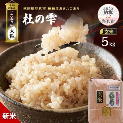 ふるさと納税 能代市 先行予約 新米 令和8年 あきたこまち 5kg 玄米[No.5335-1505]