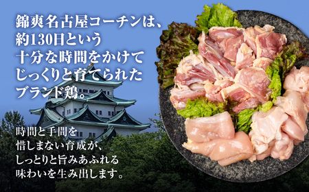 名古屋コーチン餃子 36個 (12個入×3パック) 餃子 餃子