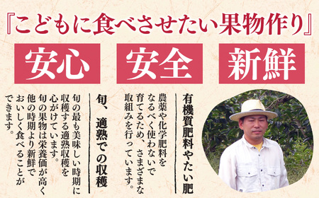 桃 （ 小玉 ）約 4kg 箱 （ 13 ～ 15個 ）| フルーツ 果物 くだもの もも モモ ピーチ 奈良県 五條市 果実 果汁 熟成 おいしい 甘い こだわり 大容量 たっぷり どっさり 送料無