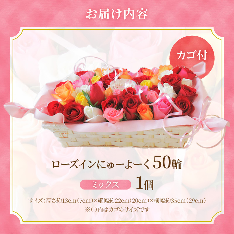 〈日付指定も可能〉 観賞はもちろん！バラ風呂やフラワーシャワーに！ ローズインにゅーよーくミックス５０輪 バラ５０輪詰め合わせ 風呂 薔薇 ローズ ギフト プレゼント ラッピング インテリア お花 フ