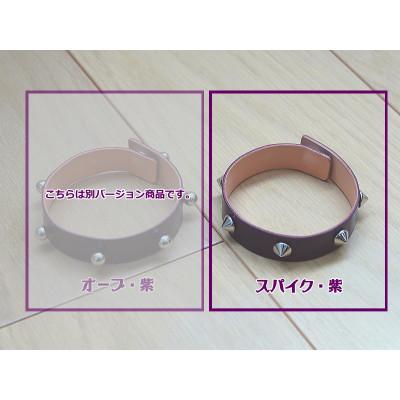 ふるさと納税 蒲郡市 SONY aibo専用【あいぼうネックリング】_スパイク・紫【G0520】
