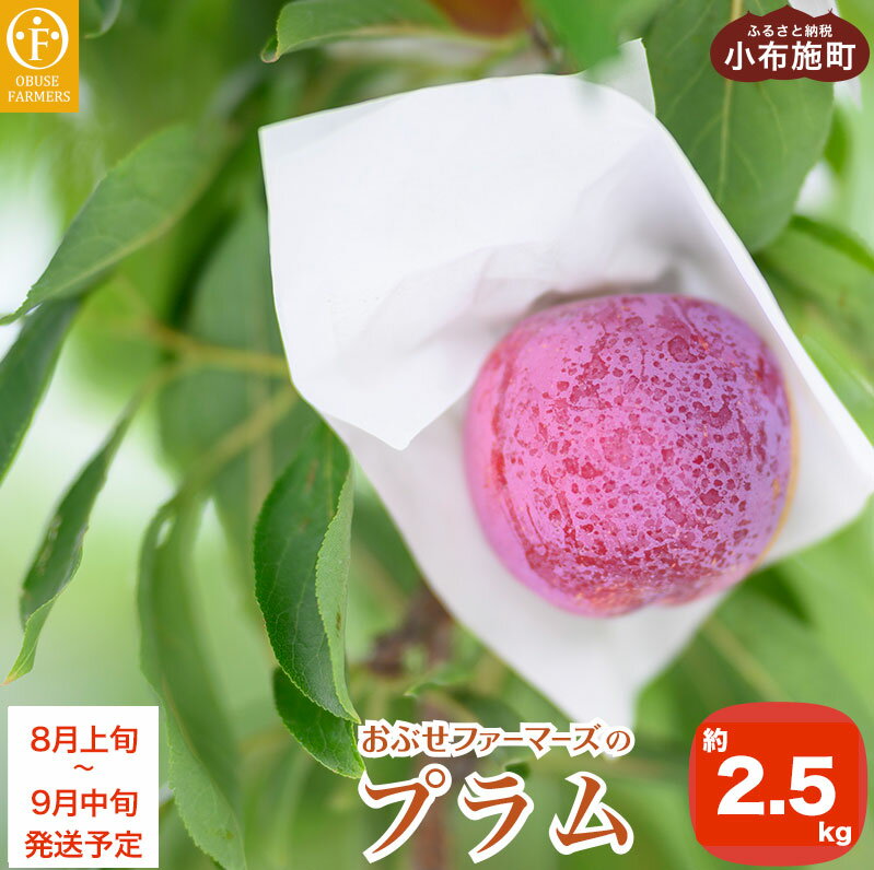 【ふるさと納税】プラム 約2.5kg ［おぶせファーマーズ］数量限定 果物類 フルーツ 長野県産 信州産 クール便 冷蔵便 お取り寄せグルメ 令和7年産 【2025年8月上旬～9月中旬発送予定】