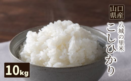 【先行予約】【1回お届け】こしひかり 精米 10kg
