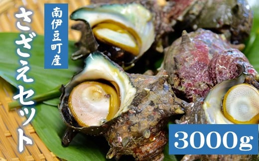 さざえセット[D]　【 丸ごとサザエ さざえ 貝 魚介 海鮮 刺身 つぼ焼き サザエ お取り寄せ BBQ 海産物 さしみ 刺し身 グリル 殻付き レンジ おつまみ つまみ 肴 】 <AG-8>