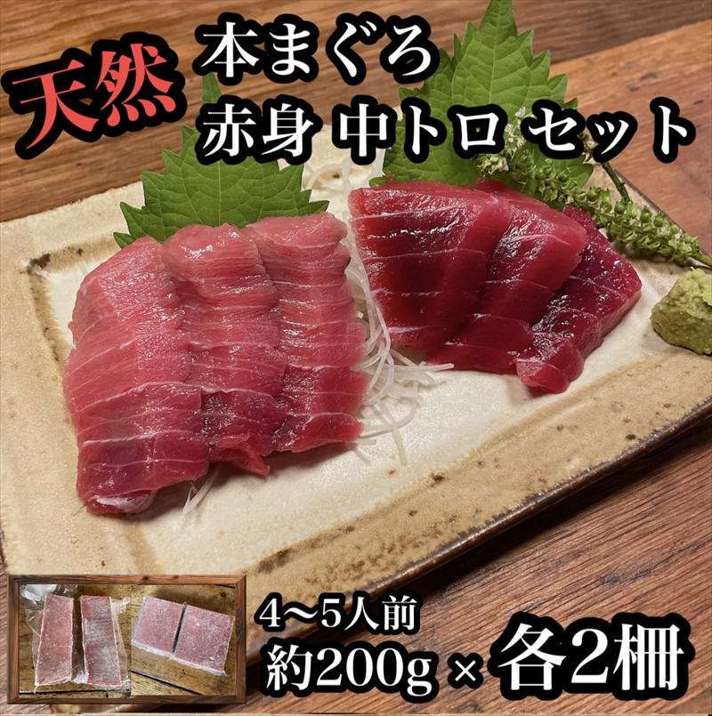 
貴重な天然本鮪 赤身 約200g 中トロ 約200g 各2柵ずつ 4〜5人前●赤身はマグロの中心部天身を使用！中とろの脂はくどくない上質な脂！【赤身 天身 惣菜 海鮮 お取り寄せ 御中元 お中元 お歳暮 父の日 母の日 贈り物 日本酒 焼酎】【神奈川県小田原市早川】
