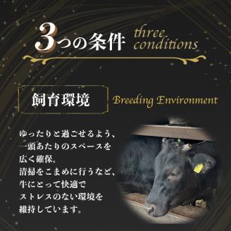＜亀岡牛専門店（有）木曽精肉店＞「亀岡牛サーロインステーキ」500g ※冷凍（冷蔵も指定可） ふるさと納税牛肉 ステーキ ☆祝！亀岡牛 2021年最優秀賞（農林水産大臣賞）受賞