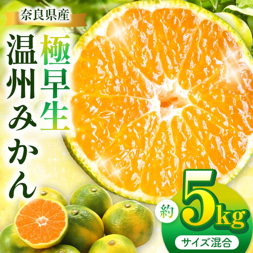 【ふるさと納税】温州みかん 極早生 約5kg（サイズ混合 | フルーツ 果物 くだもの みかん ミカン 減農薬栽培 温州 極早生 大阿太高原 農家直送 産地直送 お取り寄せ 真田園 奈良県 大淀町 メディア紹介