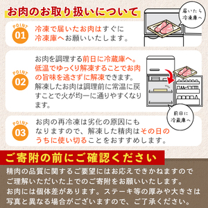 鹿児島県産 黒毛和牛 肩ロース スライス(計1.2kg・200g×6パック)【LRプラスK】A492-v01