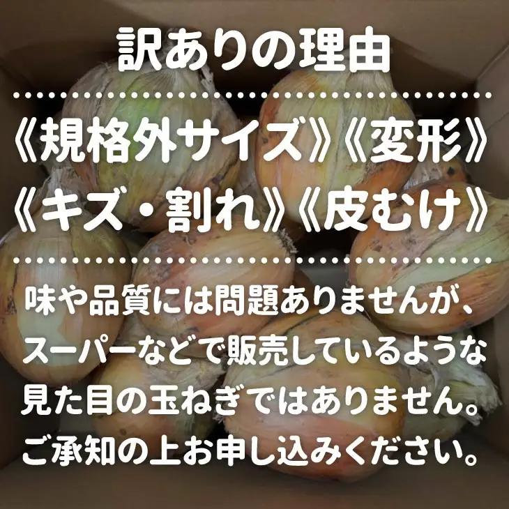 【訳あり】淡路島極熟玉葱　シャーロットオニオン【8kg】　玉ねぎ大国淡路島からの玉ねぎ