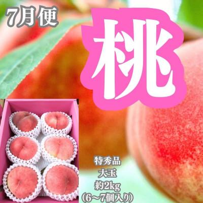 ふるさと納税 坂出市 【発送月固定定期便】坂出の美味しい果物定期便　季節の果物を年間4回に分けてお届け!全4回 |  | 02