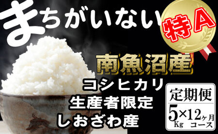 【令和7年産】【定期便】生産者限定 契約栽培　南魚沼しおざわ産コシヒカリ（5Kg×12ヶ月）【2025年10月上旬より順次発送予定】