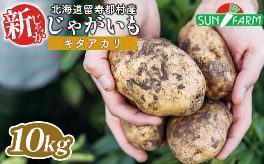 新じゃがいも キタアカリ 10kg いも おいも 芋 イモ ジャガイモ ポテト きたあかり オンライン 申請 ふるさと納税 北海道 留寿都 野菜 根菜 ホクホク 産地直送 新鮮 採れたて ポテトサラダ コロッケ スープ 10キロ 留寿都村【2401301】
