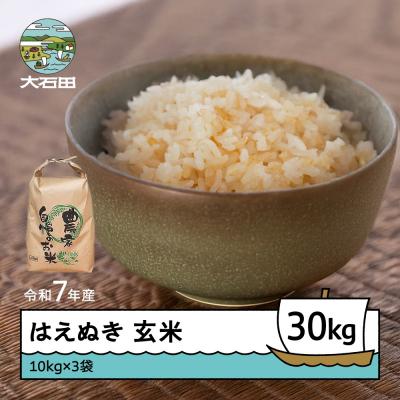 ふるさと納税 大石田町 米 令和7年産 はえぬき 玄米 30kg 10kg×3 順次発送 ap-hagxa10x3