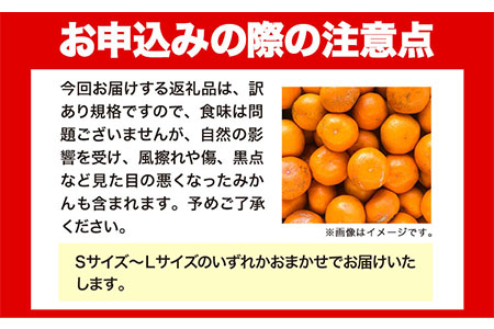 [ 訳あり ] 和歌山 有田 みかん 約 10kg (S～Lサイズいずれかお届け) 厳選館《11月上旬-1月末頃出荷》和歌山県 日高川町 有田みかん みかん 蜜柑 ミカン 柑橘 送料無料