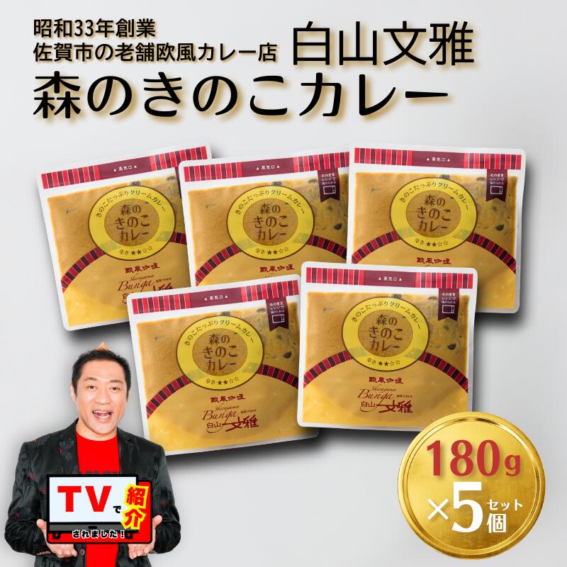 【ふるさと納税】白山文雅 森のきのこカレー5個セット：B220-046
