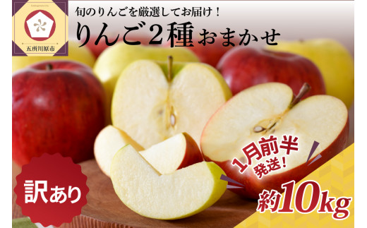 【2026年1月前半発送】 【訳あり】 りんご 約10kg 青森産 品種おまかせ2種以上
