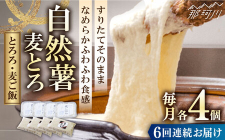 【全6回定期便】自然薯麦とろセット（4人前）＜自然薯王国＞那珂川市 自然薯 自然薯 とろろ 自然薯 とろろ 自然薯 とろろ とろろ [GAH010] 94000 94000円