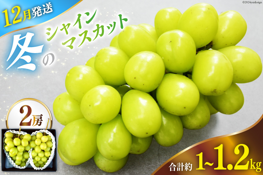 
                  【2025年12月発送】【先行予約】魅惑のおいしさ! 冬のシャインマスカット 2房 (1.0kg～1.2kg相当) [韮崎翠緑 山梨県 韮崎市 20742911] NS-1008 シャインマスカット フルーツ 果物 マスカット シャイン ぶどう 葡萄 種無し
                
