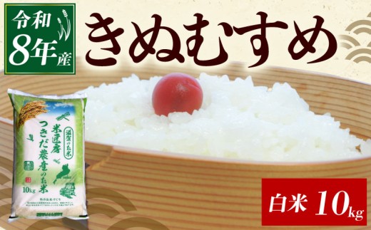 令和8年産 きぬむすめ 白米 10kg ひこにゃん米 米 コメ お米 10キロ 米10kg ご飯 ごはん キヌムスメ おにぎり お弁当 滋賀 彦根