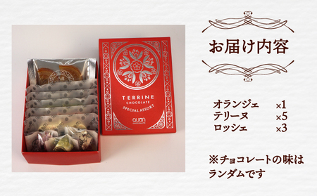 チョコ セット 久遠チョコレート ちょこちょこ J010-167001
