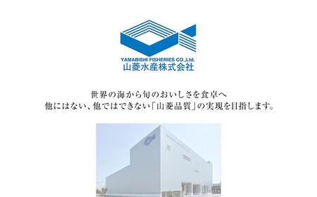 アイスバーグサーモン400gと天然本鮪赤身サク150gセット
