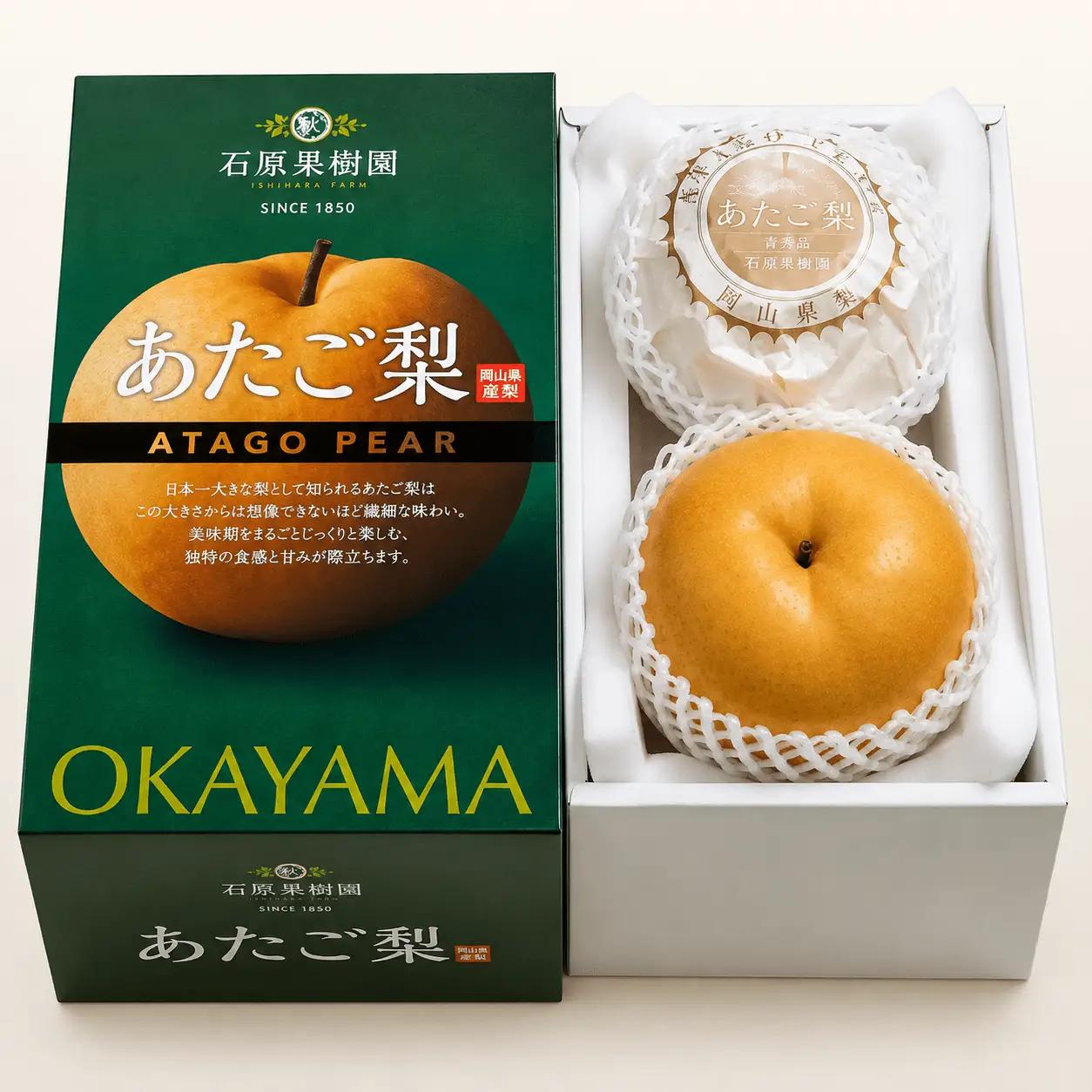 梨 あたご梨 約1.3kg玉2玉 化粧贈答箱 岡山県産 愛宕梨【ishk010-01】