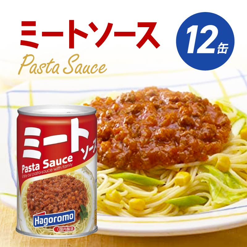 【ふるさと納税】 ミートソース 290g 12個 セット はごろもフーズ スパゲッティ 缶詰 パスタ ソース 簡単 調理 手軽 家庭用 グラタン ピザ まとめ買い 備蓄 レトルト 缶 常温 保存食 長期保存 非常食 災害対策 アレンジ料理 トマト味 パスタソース 藤枝市 静岡県