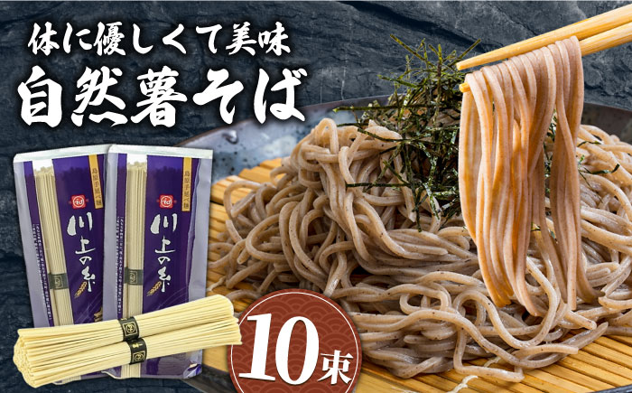 【年内発送】年越しそば 手延べ 自然薯 そば 500g（250g×2）/ 蕎麦 そば ソバ 乾麺 麺 自然薯 3000円 3000 / 南島原市 / 川上製麺 [SCM021]